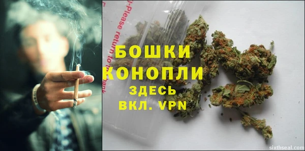 ECSTASY Семикаракорск