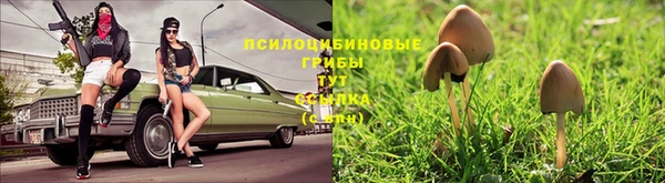 кристаллы Покровск