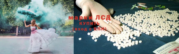 индика Семилуки